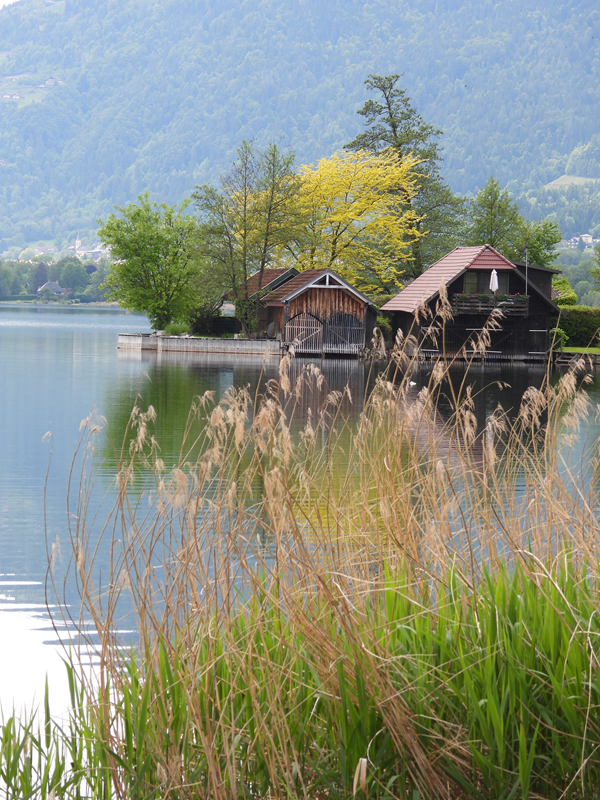 Bleistätter Moor hoch (3)