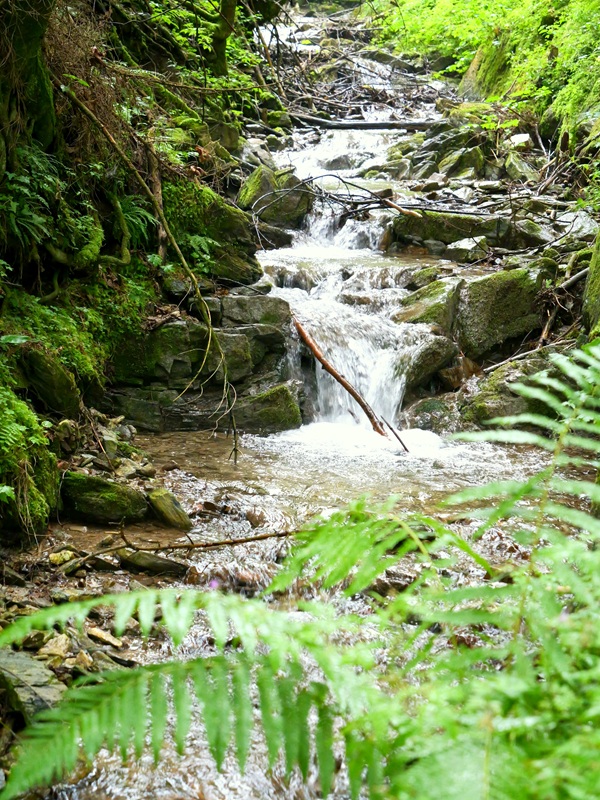 RaabUrsprung hoch (1)