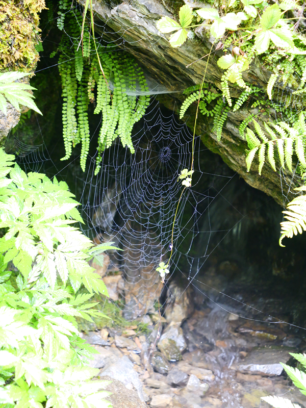 RaabUrsprung hoch (1)