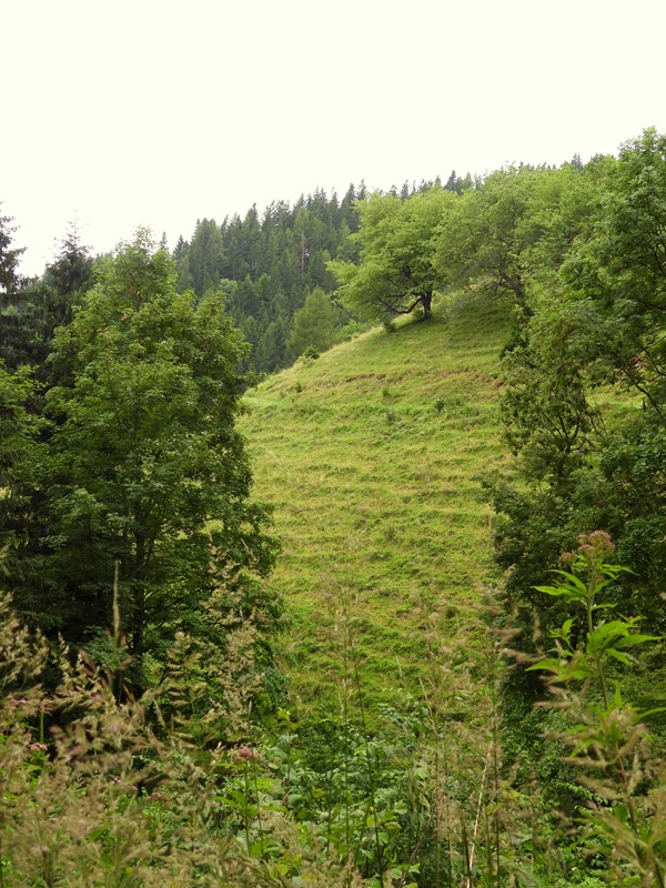 RaabUrsprung hoch (3)