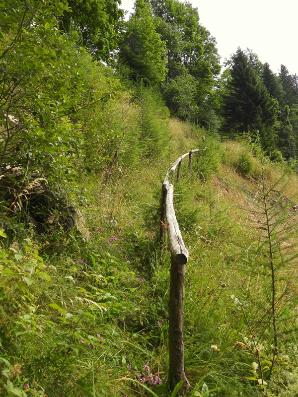 RaabUrsprung hoch (5)