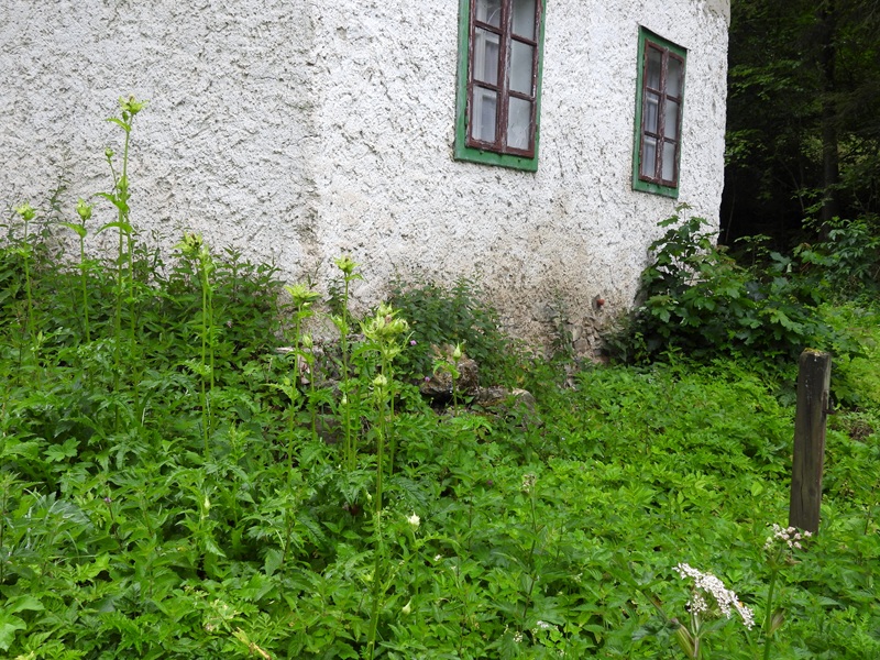 Raabursprung quer (13)