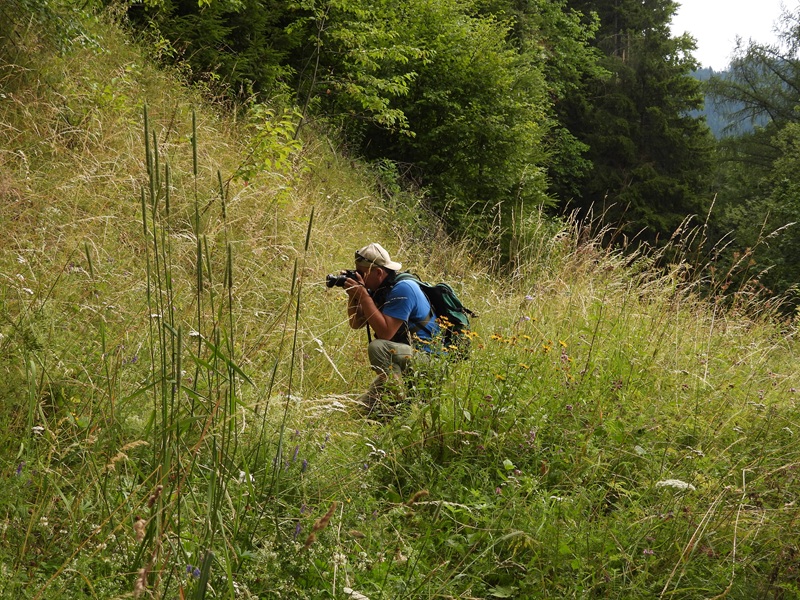 Raabursprung quer (22)