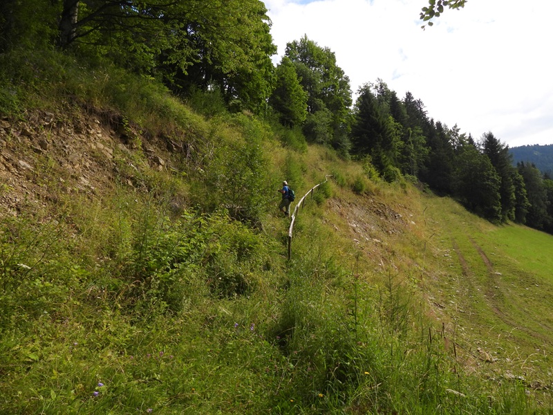 Raabursprung quer (27)