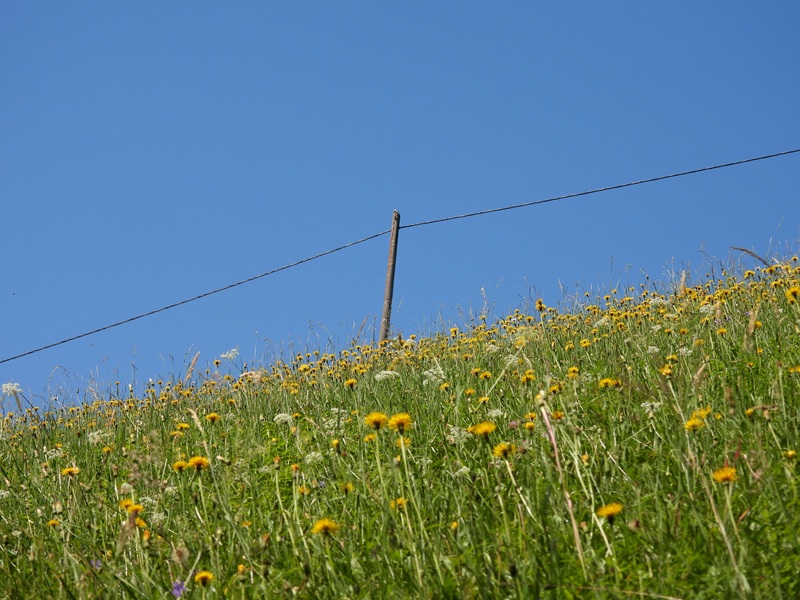 Raabursprung quer (30)