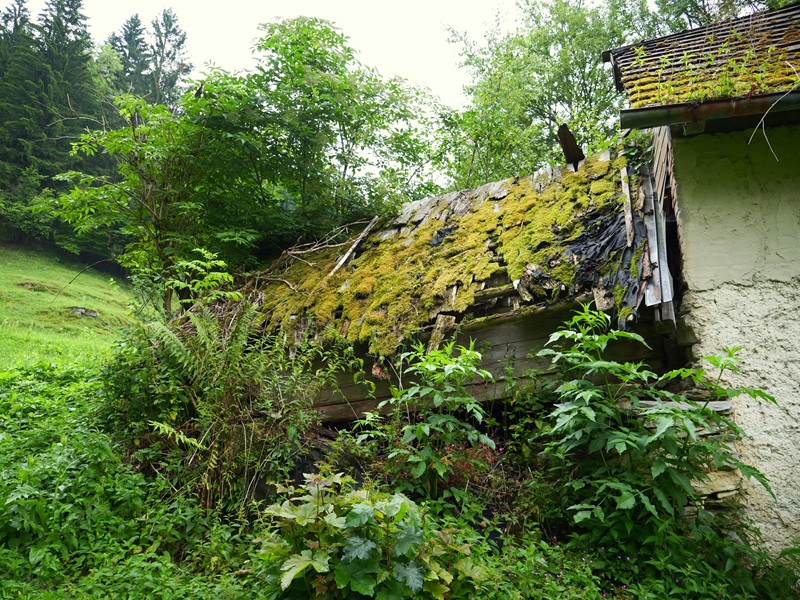 Raabursprung quer (31)