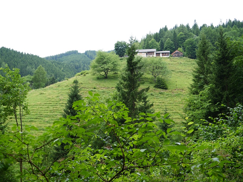 Raabursprung quer (35)