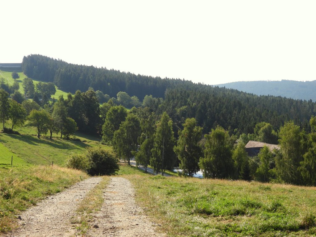 DSCN7059 - Kopie