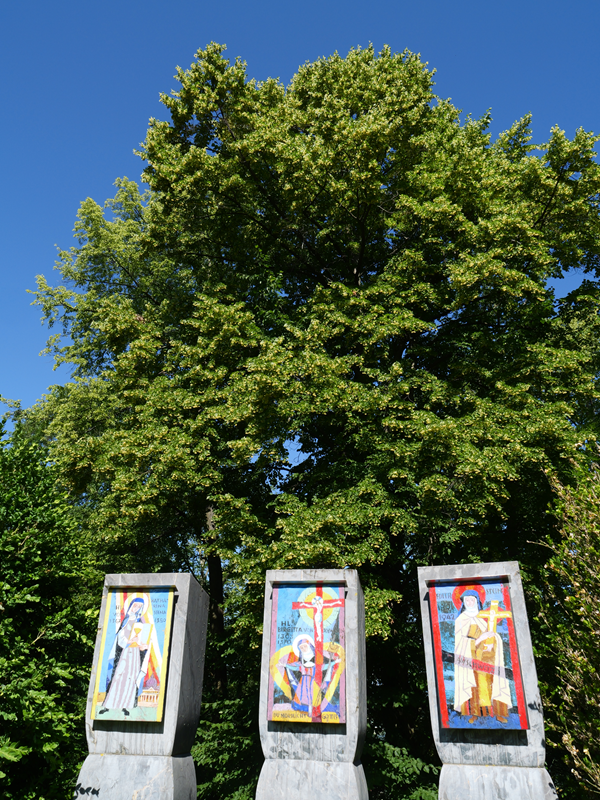 Pöllauberg hoch (16)