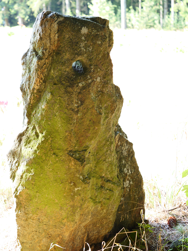 Stallegg hoch (10)