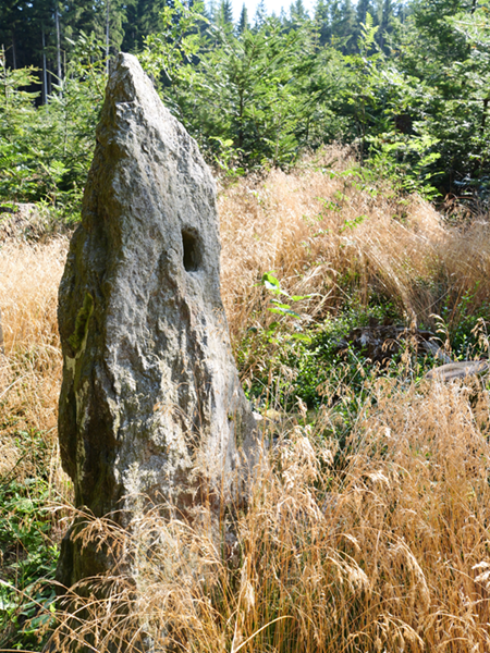 Stallegg hoch (13)
