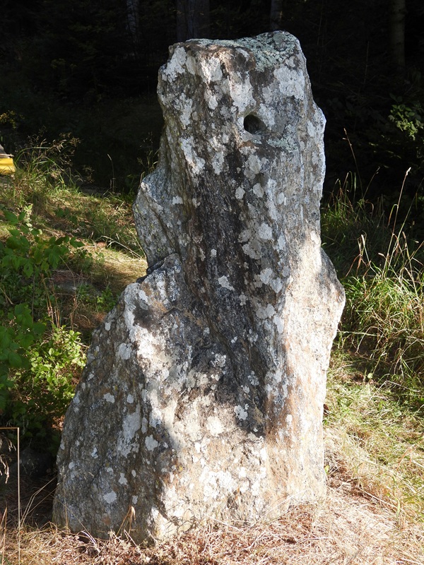 Stallegg hoch (16)