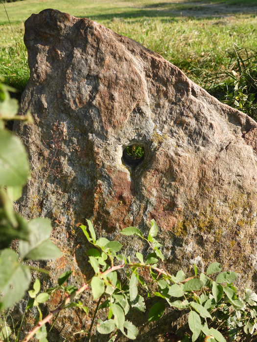 Stallegg hoch (17)