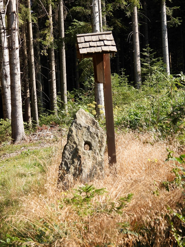 Stallegg hoch (2)
