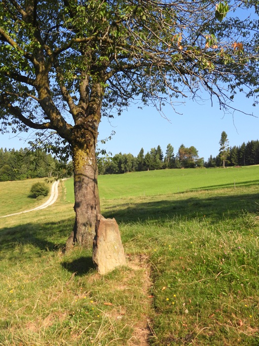 Stallegg hoch (20)