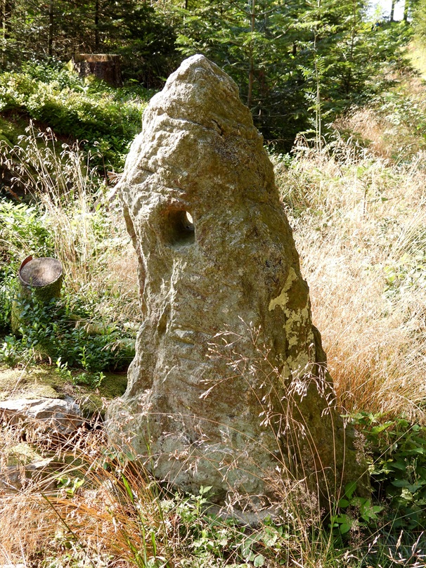 Stallegg hoch (3)
