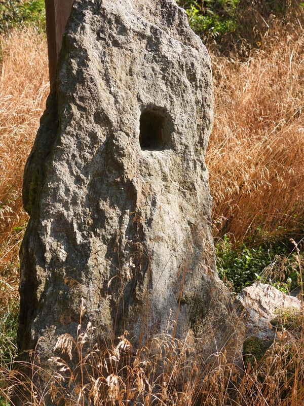 Stallegg hoch (4)