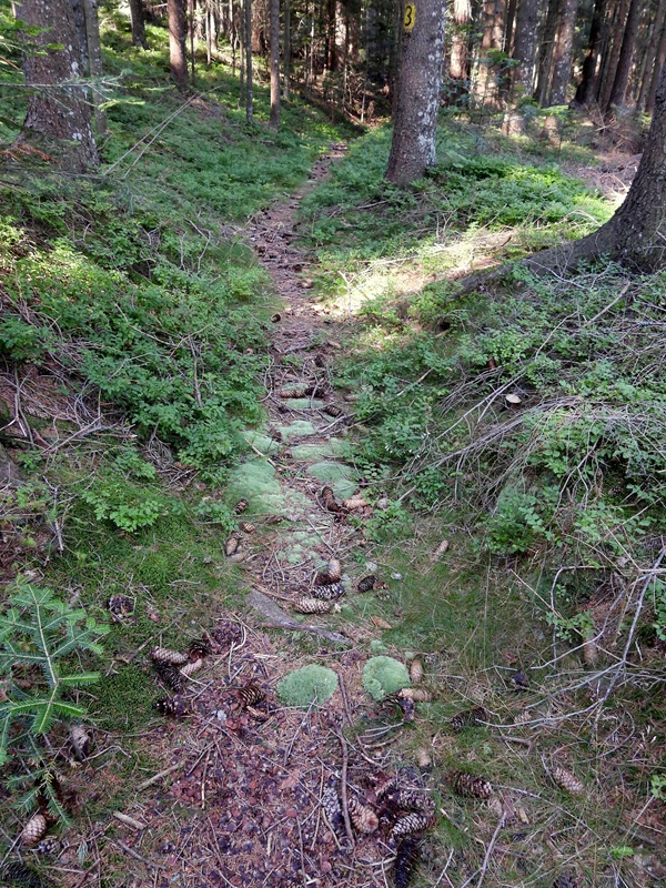 Stallegg hoch (5)