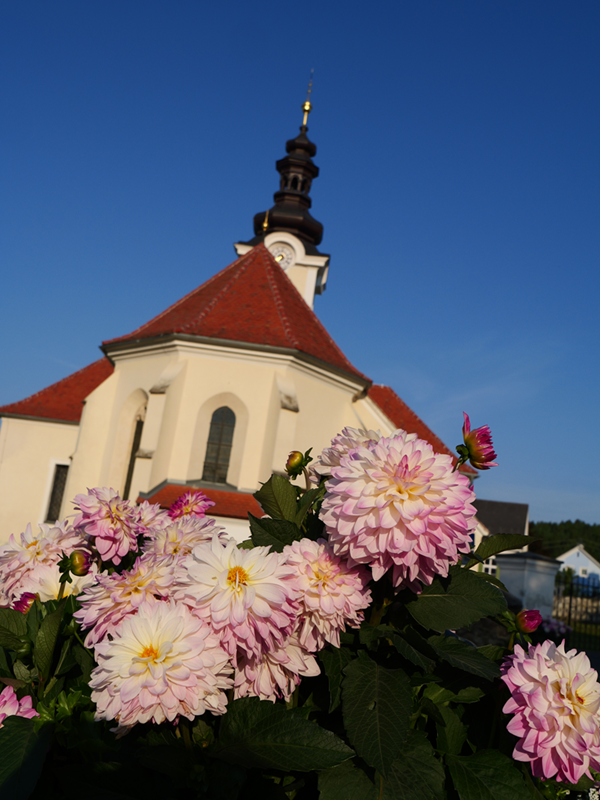 Stallegg hoch (9)