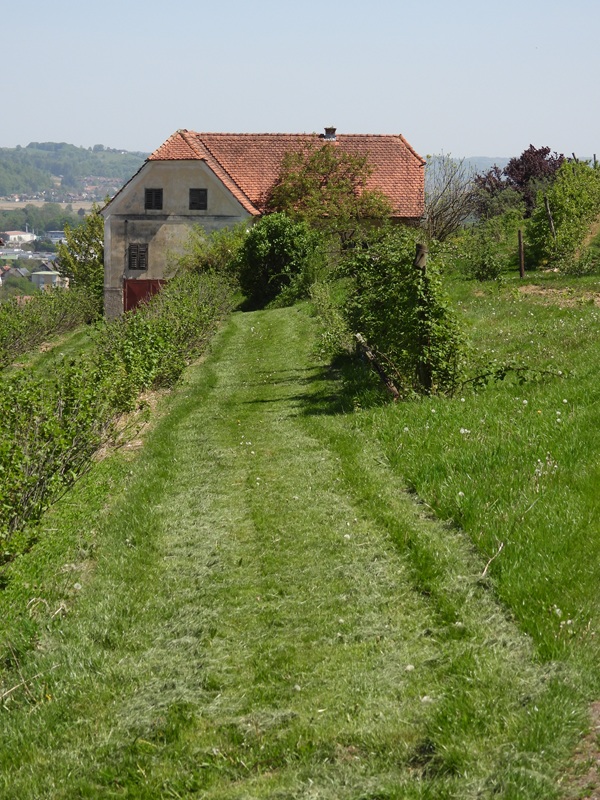 Bahnwanderweg hoch (10)