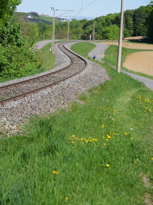 Bahnwanderweg hoch (17)