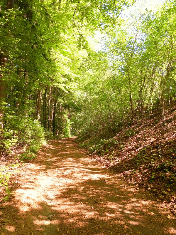 Bahnwanderweg hoch (20)