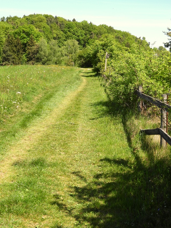 Bahnwanderweg hoch (7)