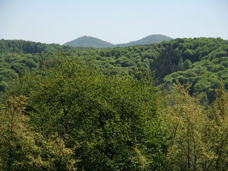 Bahnwanderweg quer (15)
