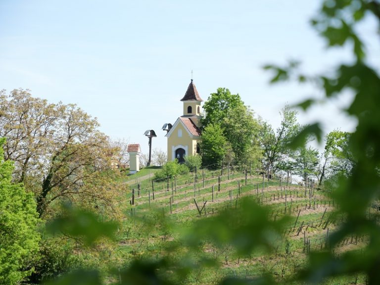 Bahnwanderweg quer (16)