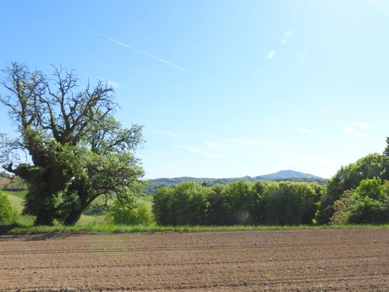 Bahnwanderweg quer (21)