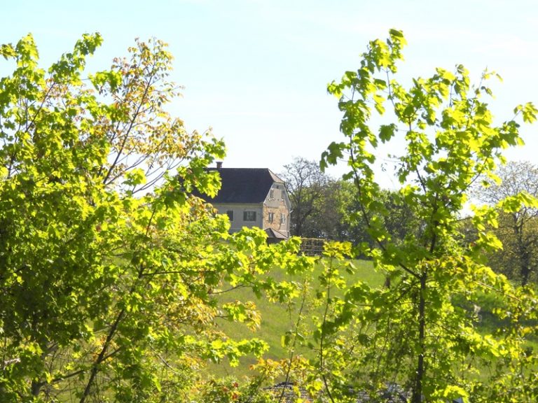 Bahnwanderweg quer (27)