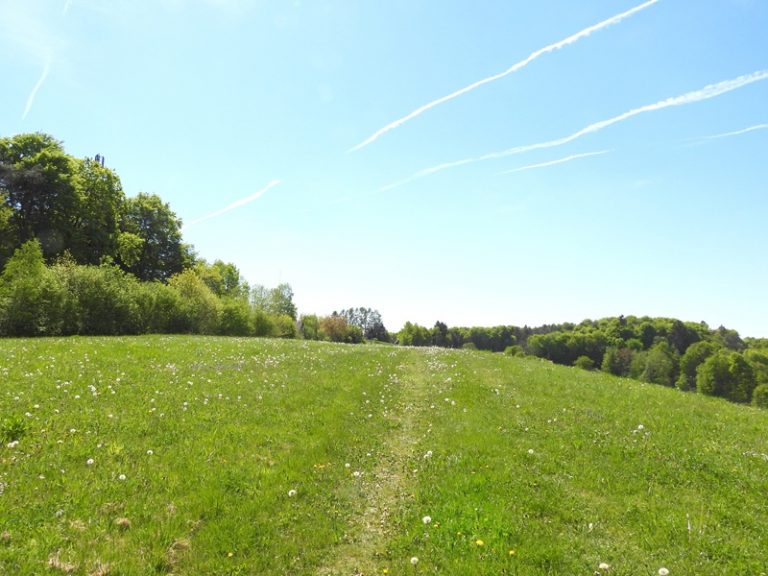Bahnwanderweg quer (31)