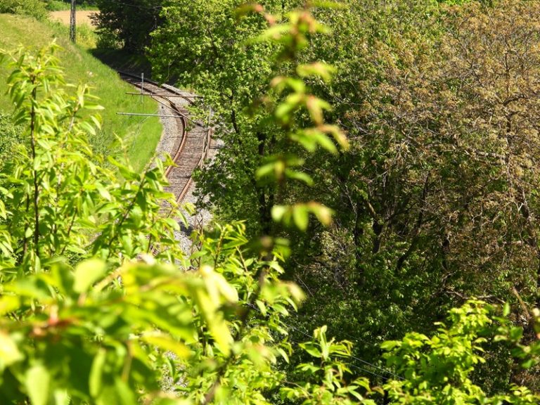 Bahnwanderweg quer (32)