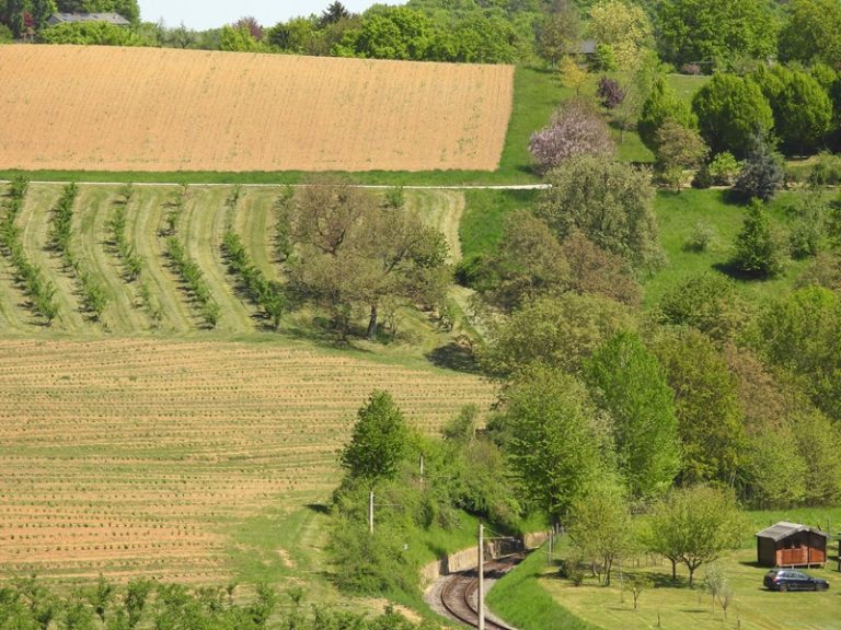 Bahnwanderweg quer (33)