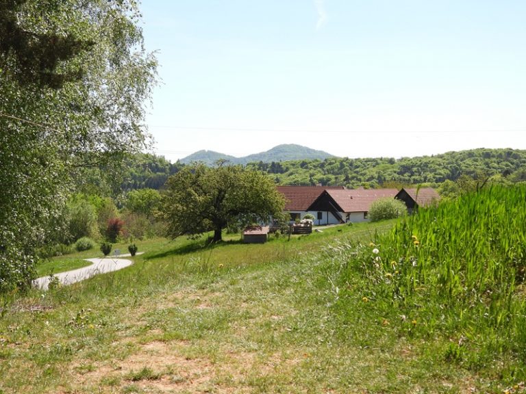 Bahnwanderweg quer (34)