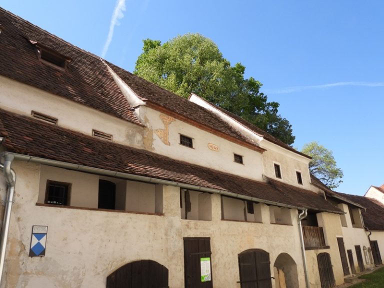 Bahnwanderweg quer (51)