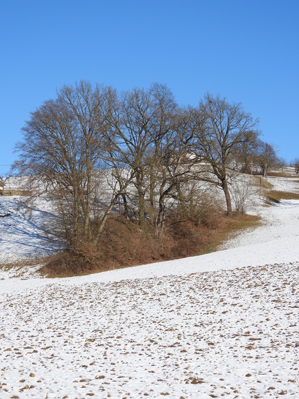 Brunn hoch (3)