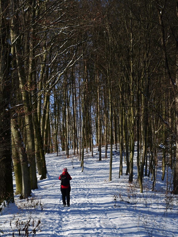 Brunn hoch (9)