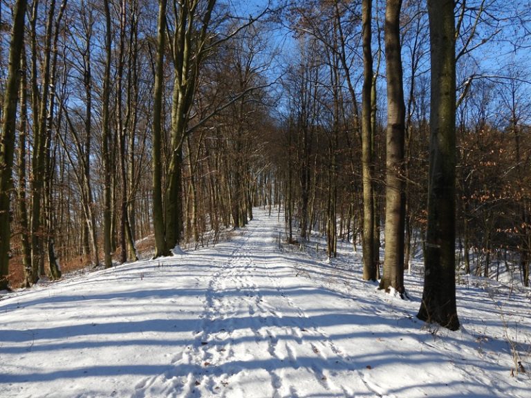 Brunn quer (24)