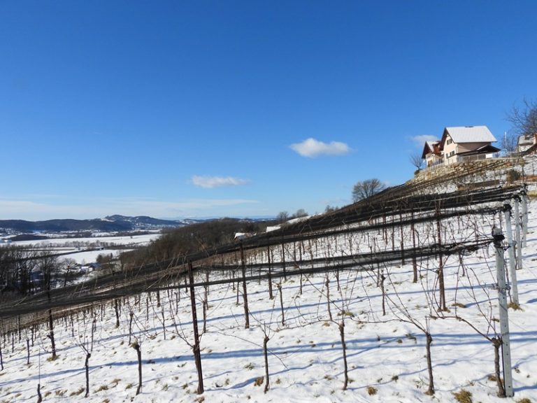 Brunn quer (27)