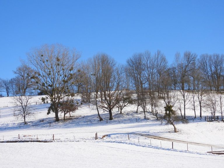 Brunn quer (3)