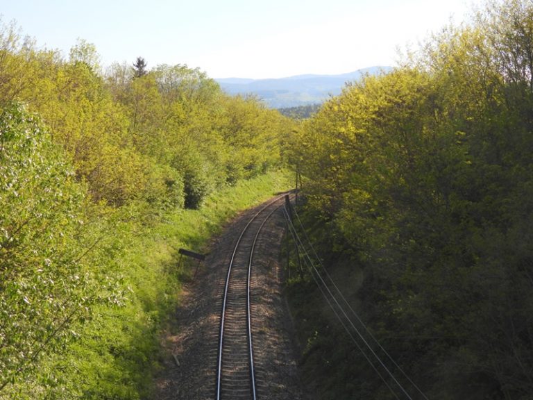 Dechantskirchen (12)