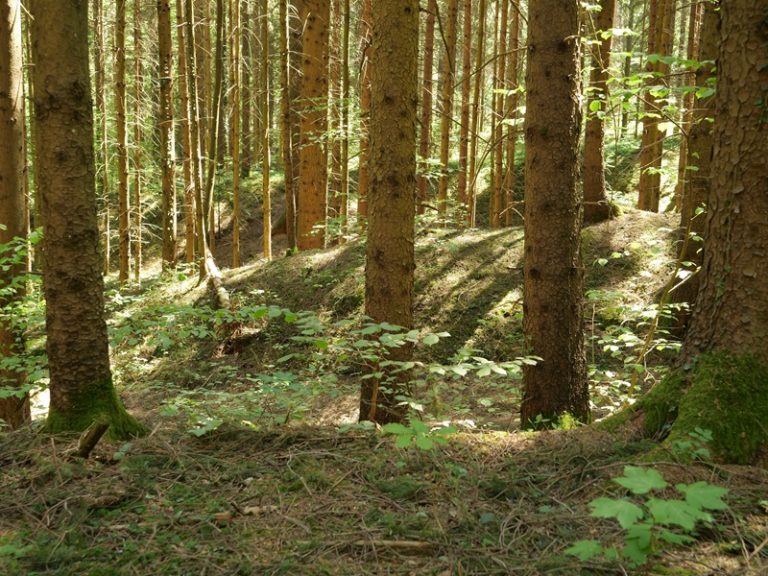 Dechantskirchen (15)
