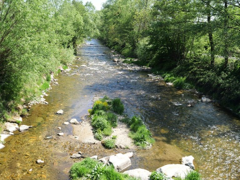 Dechantskirchen (16)