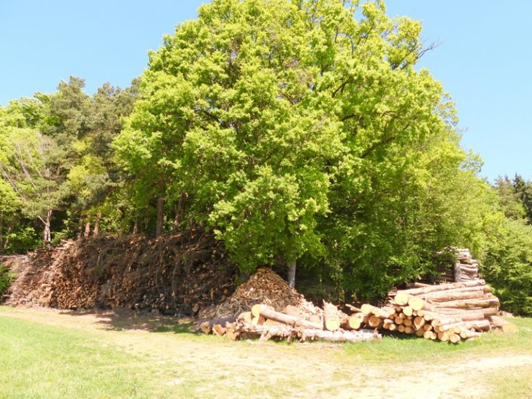 Dechantskirchen (24)