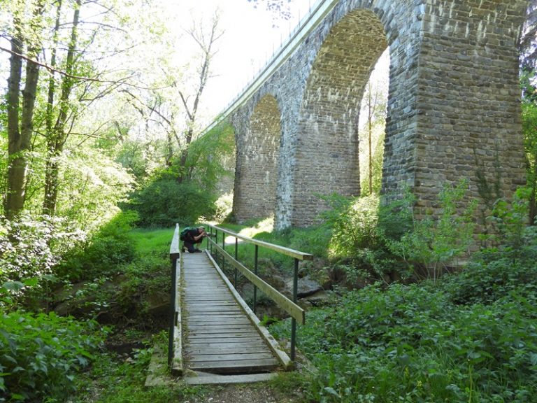 Dechantskirchen (3)