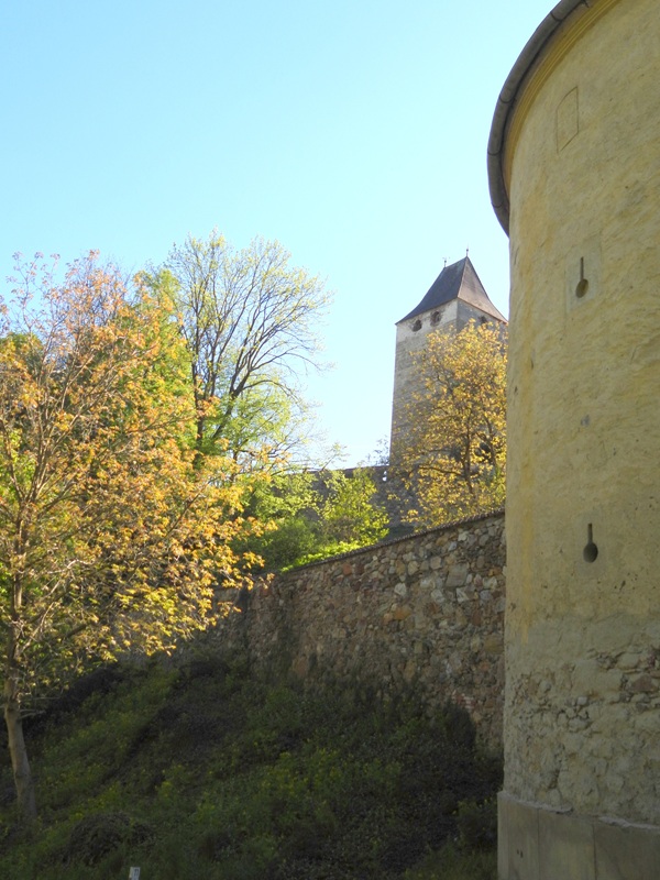 Dechantskirchen hoch (5)