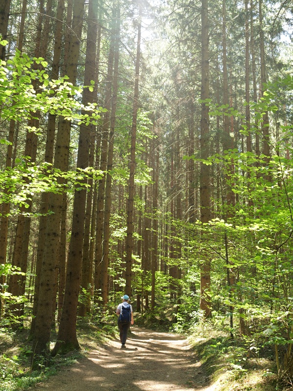 Dechantskirchen hoch (8)