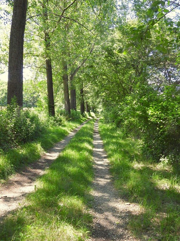 Donnersdorf hoch (3)