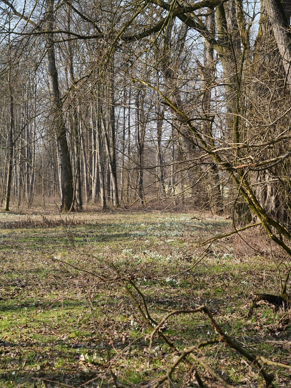 Donnersdorf hoch (5)